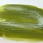 Jungle Leaf {Dylusions Paint}