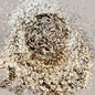Beverly Hills {Mini-Chunk Textured Glitter}