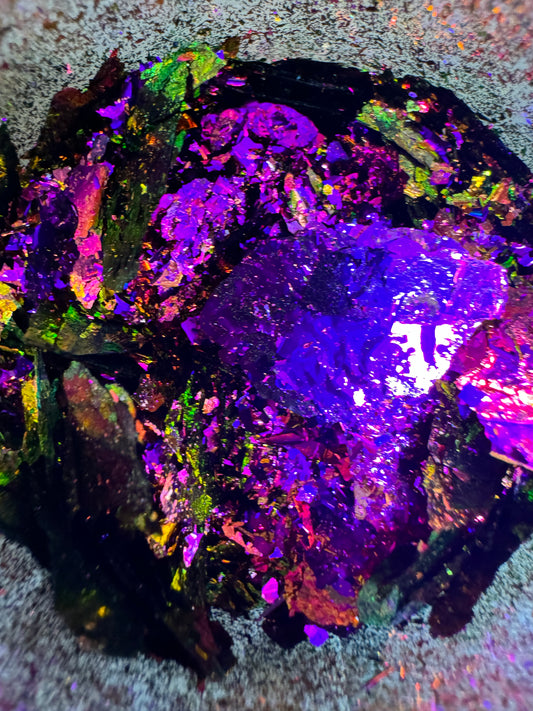 Vivarium {Big Flake}