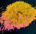 Mimosa // Pigment Flake