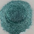 Cold Shoulder {Fine Bioglitter}