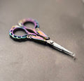 Pinstriping Scissors {Rainbow}