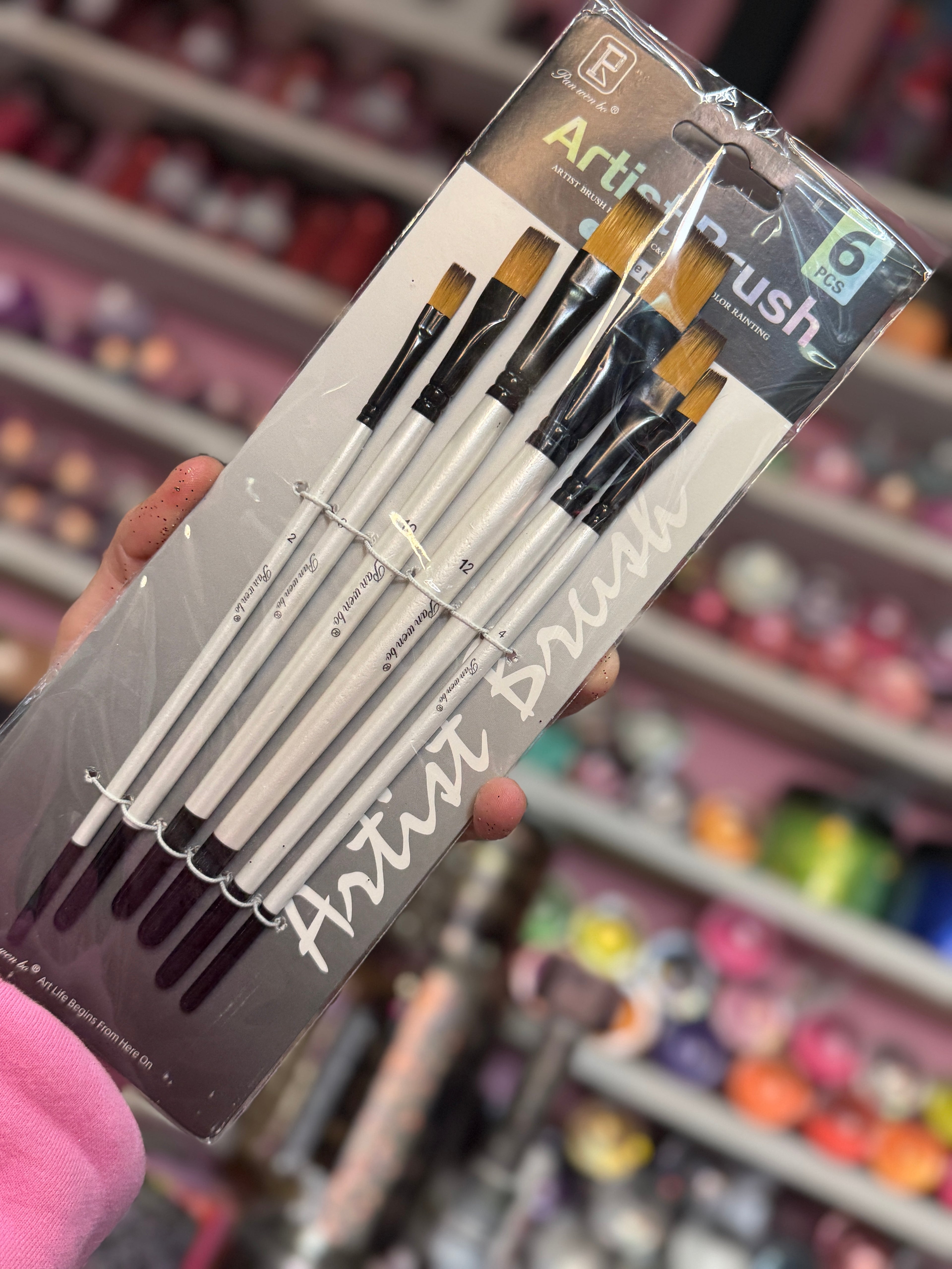 Artist Brush Set of 6