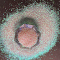 Dreamland {Cylinder Glitter}