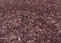 Willow Maple {VAULT FRIDAY MIX {8/28}
