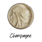 Champagne {1oz Stencil Paste}